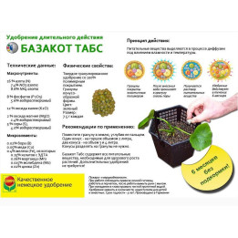 Базакот
