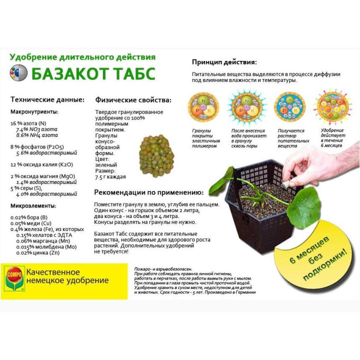 Базакот