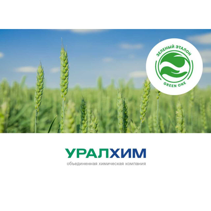 ЕТАЛОН