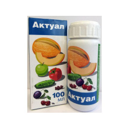 Актуал