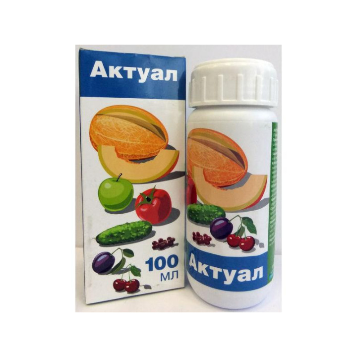 Актуал