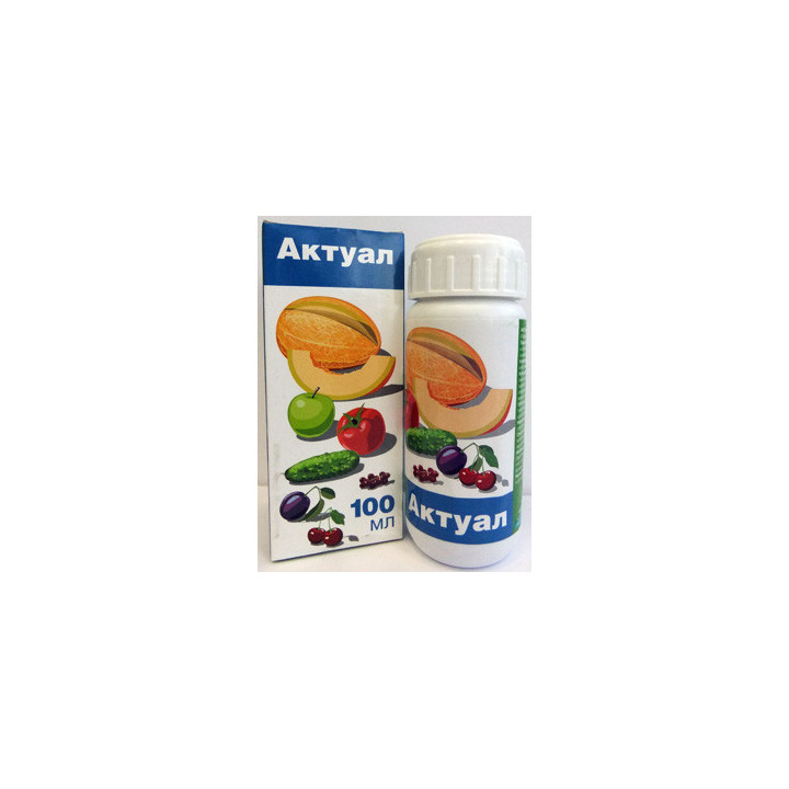 Актуал