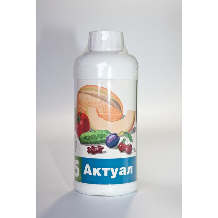 Актуал