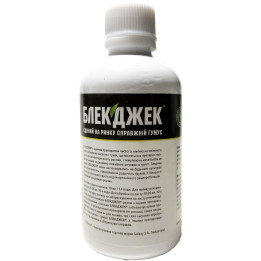 Блекджек