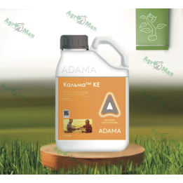 КАЛЬМА