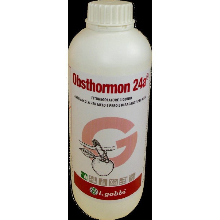Obsthormon 24a