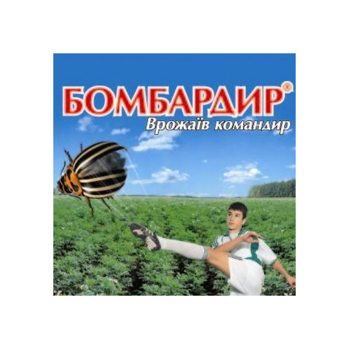 Бомбардир
