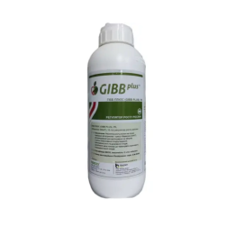 НОВАГІБ
