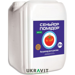 Брілон