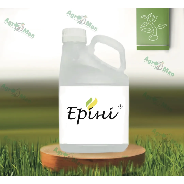 Еріні