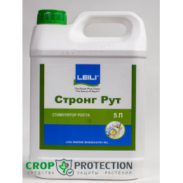 Стронг