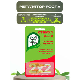 САНГЕЙТ