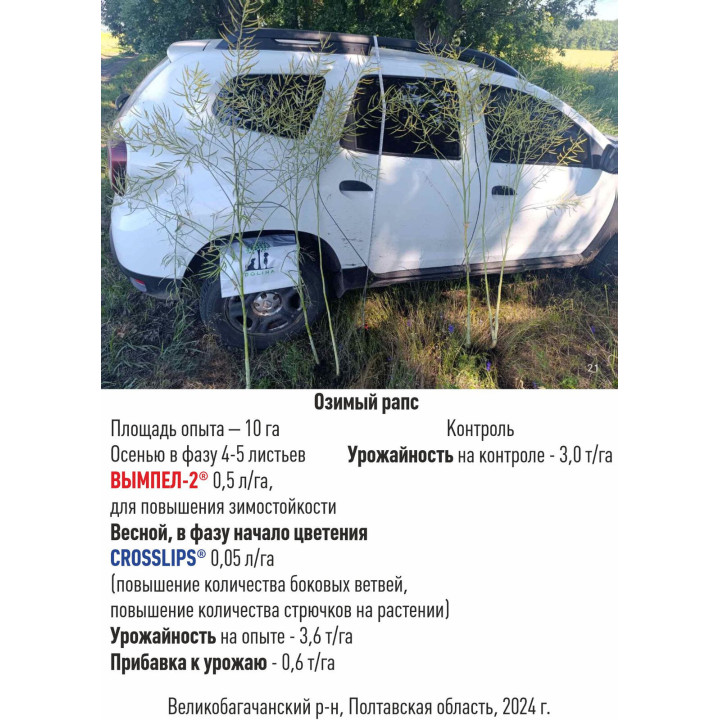 НИВА, Р