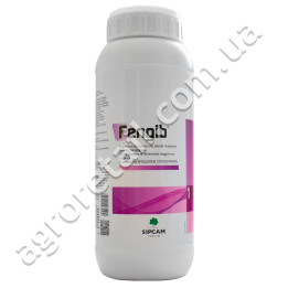 Фітомаг