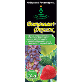 Форсайт