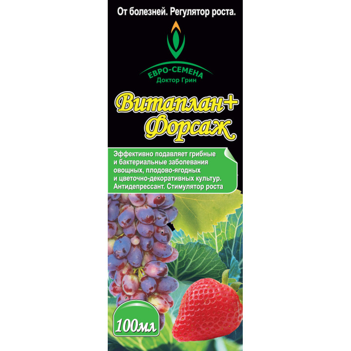 Форсайт