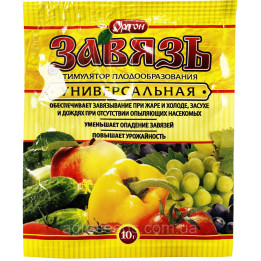 Зав’язь