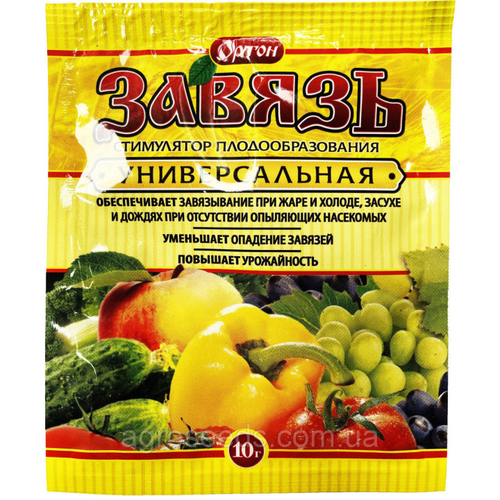 Зав’язь