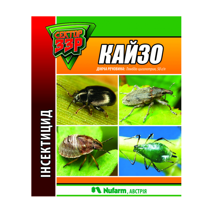 Кайзо