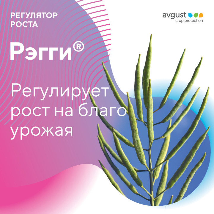 РЕГГІ