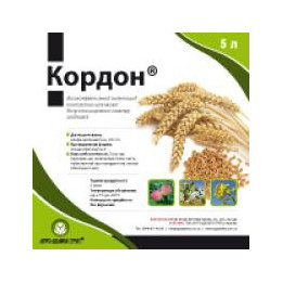 Кордон