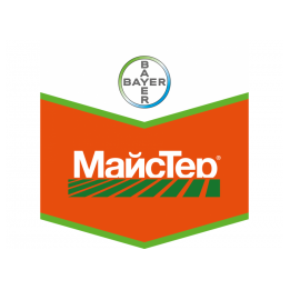 МайсТер 62WG