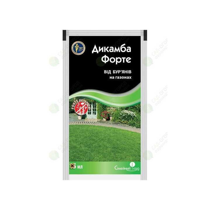 Димбо Форте