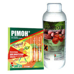 Римон 10