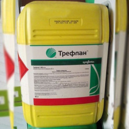 Трефлан
