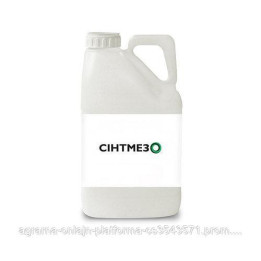 Сінтмезо SE, СЕ