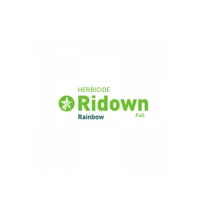 Рідуан (Ridown, SL)