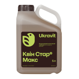 Квін Стар Макс
