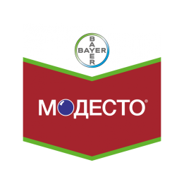 Модесто 480 FS
