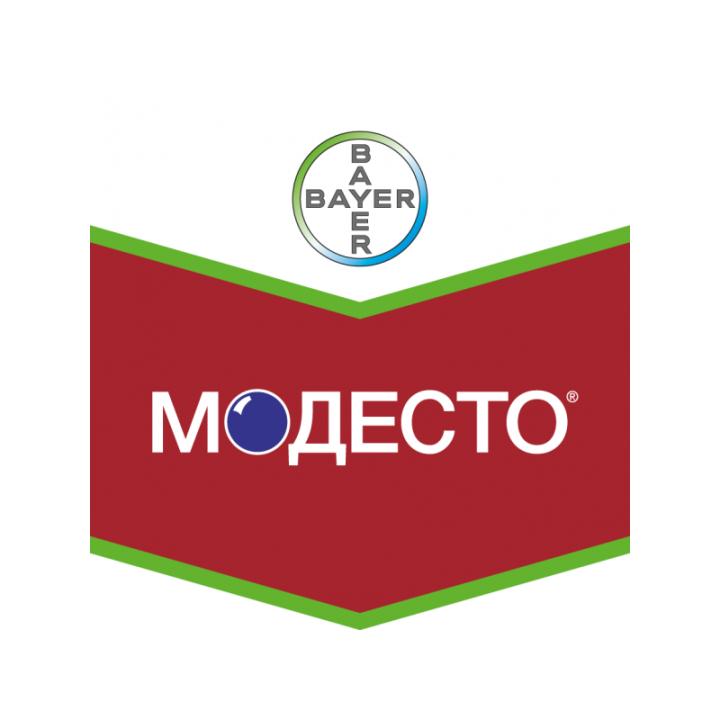 Модесто 480 FS