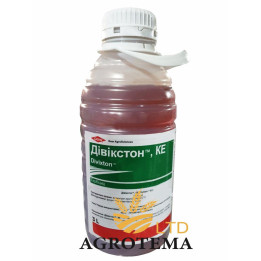 Divixton EC