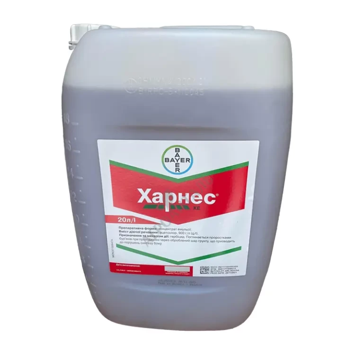 Харнес