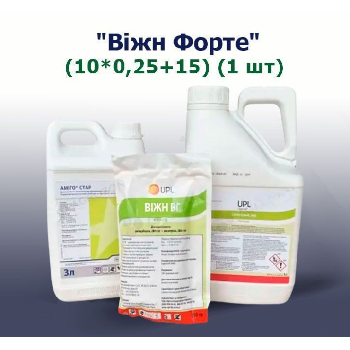 Віжн
