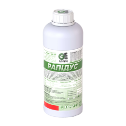 Рапідус WG