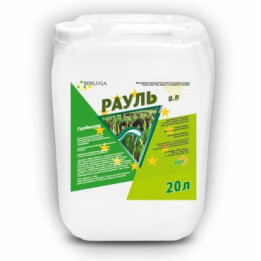 Рауль