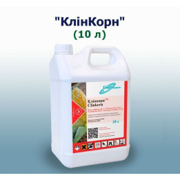 Клінкорн, МД / Clinkorn, OD