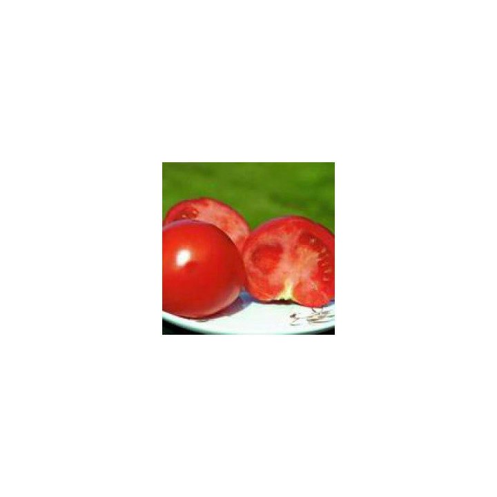 Полбиг F1 / Polbig F1