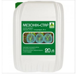Мезонік-Стар