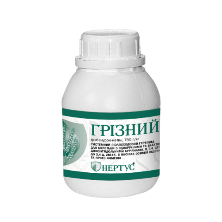 Грізний