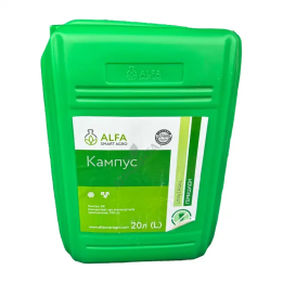 Кампус