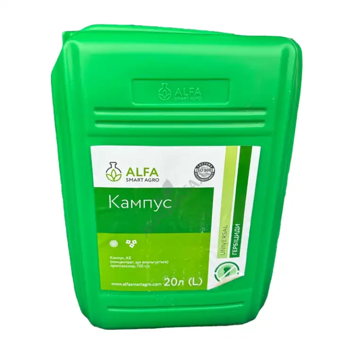 Кампус