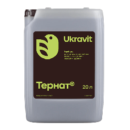 Тернат