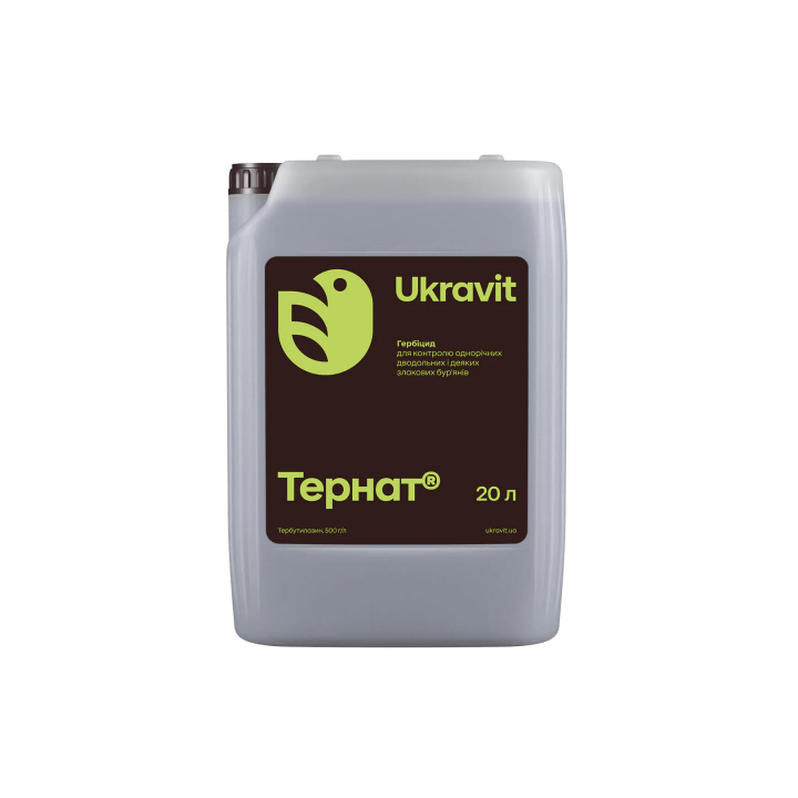 Тернат