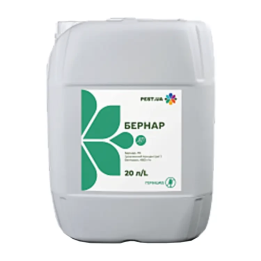 Бернар