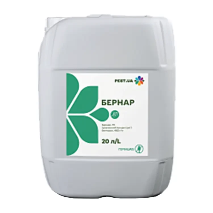 Бернар