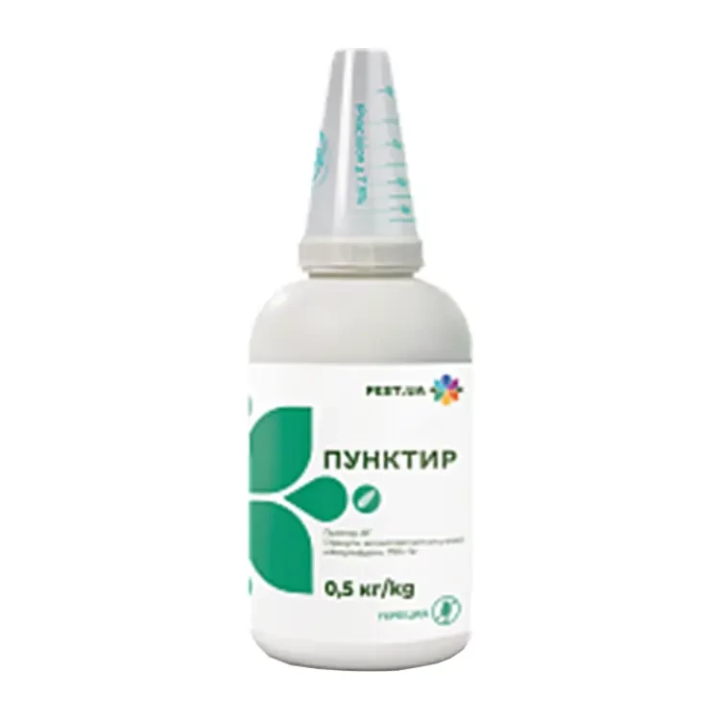 Пунктир